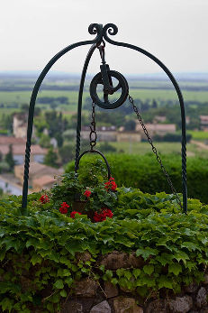 Ivy-covered well on upper terrace