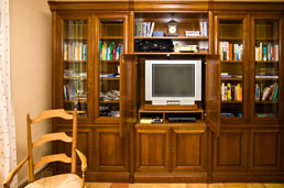 Library/media room